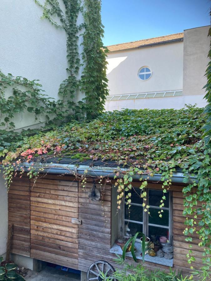 Pension Sunnseitn - Gasthof - Cafe - Weinkeller Haslach an der Mühl Exterior foto